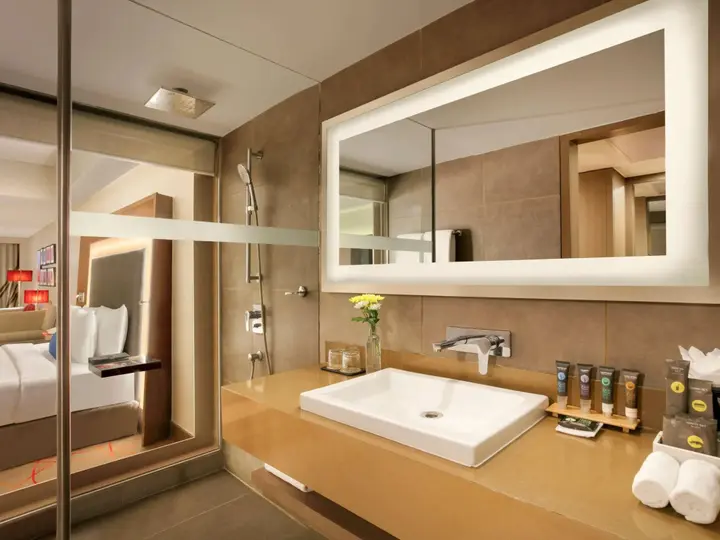 Ахмедабад: Novotel Ahmedabad