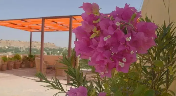 Джайсалмер: Jasmin Home