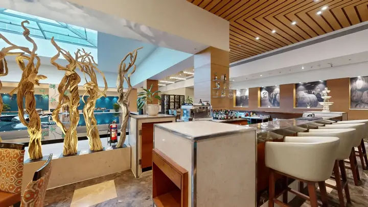 Ранчи: Radisson Blu Hotel Ranchi
