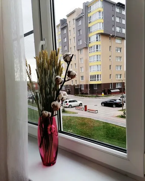 Зеленоградск: Однокомнатные апартаменты Зеленоградск Кранц Парк