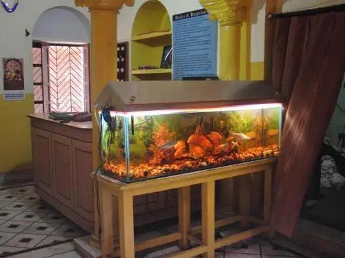 Варанаси: Shivakashi Guest House