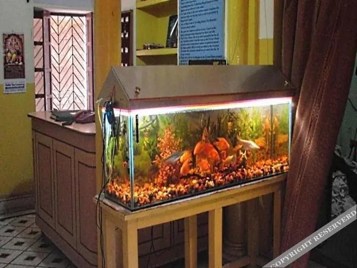 Варанаси: Shivakashi Guest House