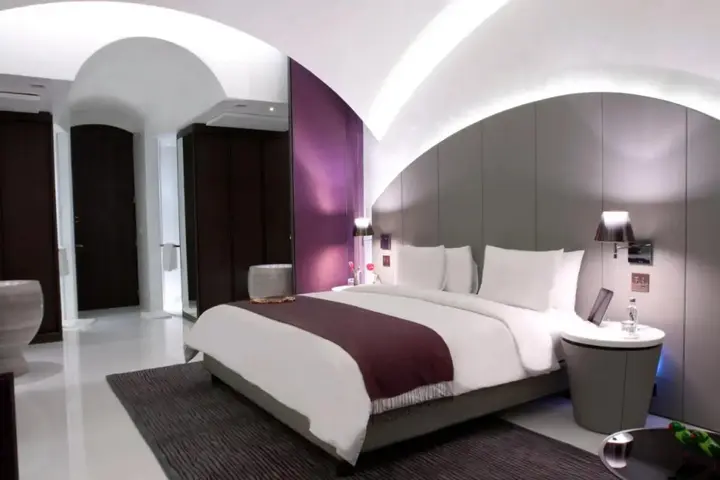Нью-Дели: The Roseate New Delhi