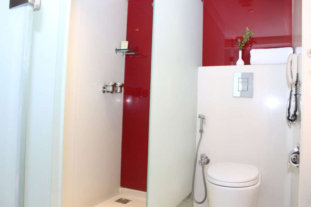Панаджи: Fidalgo Hotel