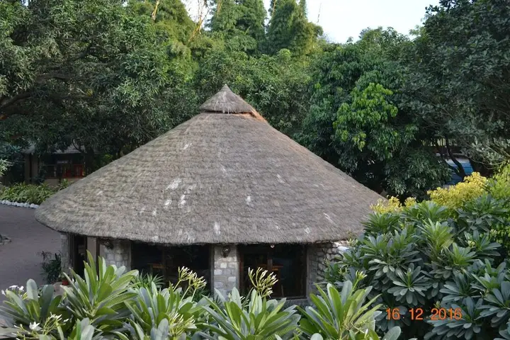Corbett Wild IRIS Spa and Resort — фото 5