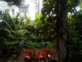 Коччи: Nathan's Holiday Home