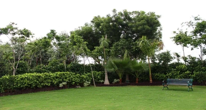 Вриндаван: Nidhivan Sarovar Portico Vrindavan