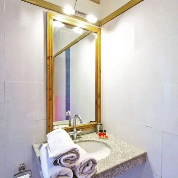 Манали: Hotel Vyas Vatika