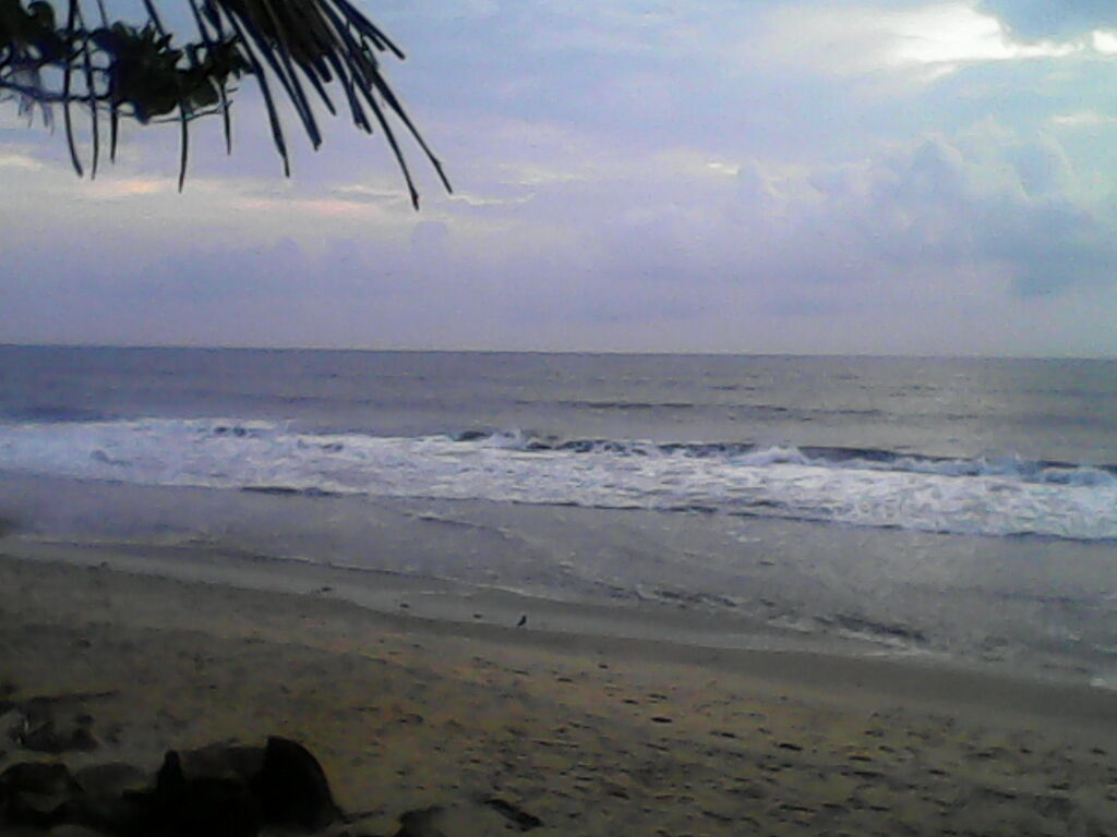 Коччи: Sealine Beach Resort