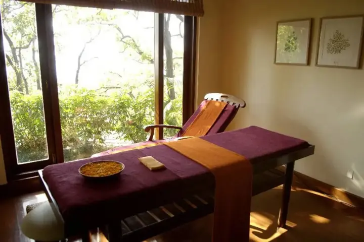 Нарендранагар: Ananda In The Himalayas