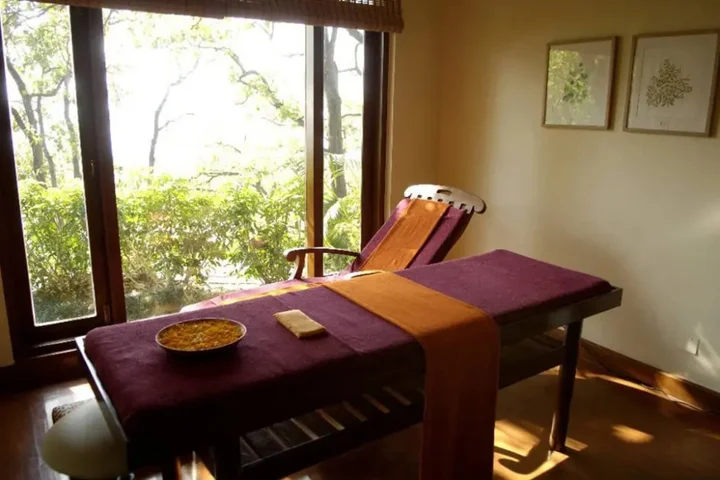Нарендранагар: Ananda In The Himalayas