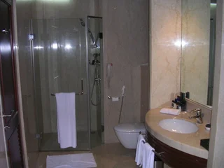 Бангалор: Palm Meadows Resort