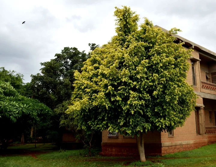 Chikkajala: Our Native Village Eco Resort