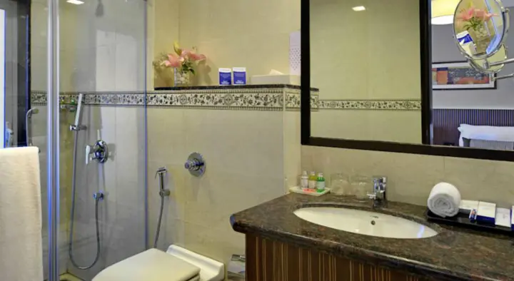 Мумбаи: Residency Sarovar Portico Mumbai