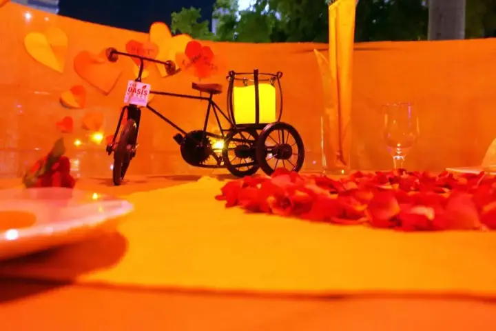 Вадодара: The Oasis -Vadodara