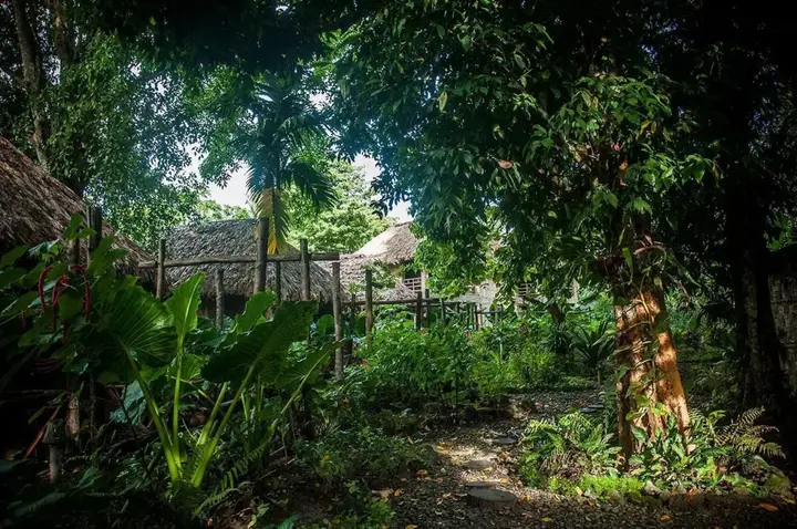 Остров Swaraj Dweep: Wild Orchid Resort - Havelock Island