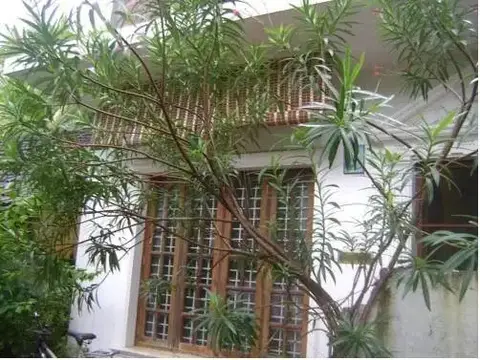 Johnson Homestay — фото 1