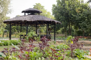 Панпата: Kings Lodge