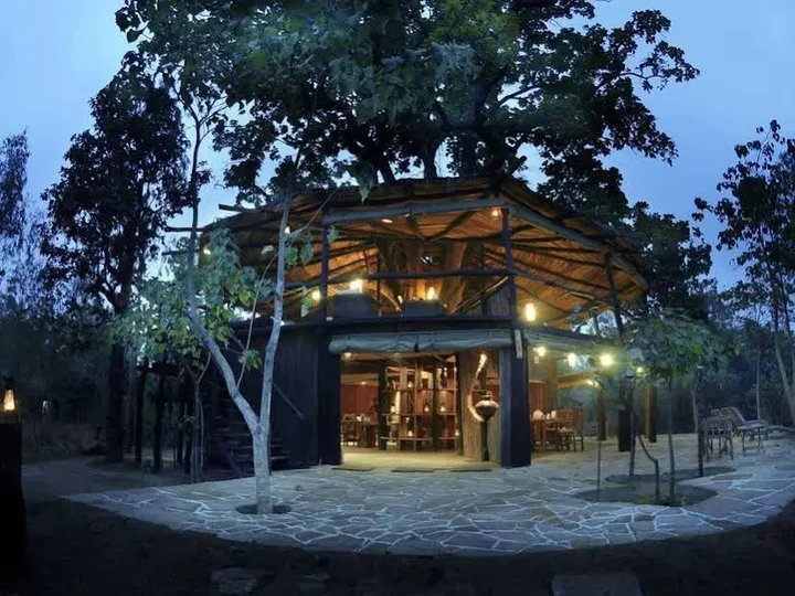 Панпата: Pugdundee Safaris- Tree House Hideaway