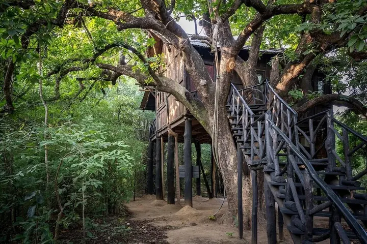 Панпата: Pugdundee Safaris- Tree House Hideaway