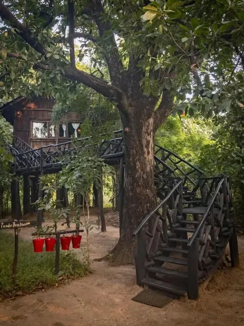 Панпата: Pugdundee Safaris- Tree House Hideaway