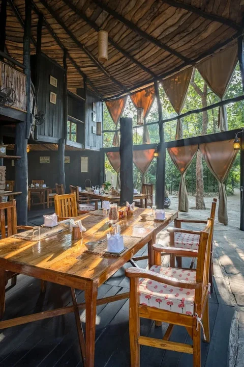 Панпата: Pugdundee Safaris- Tree House Hideaway