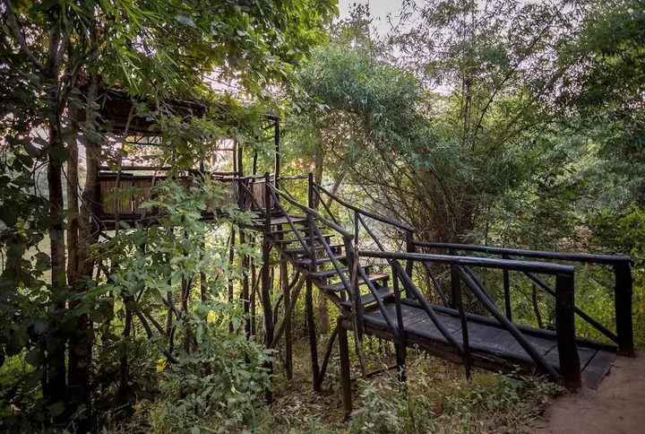 Панпата: Pugdundee Safaris- Tree House Hideaway