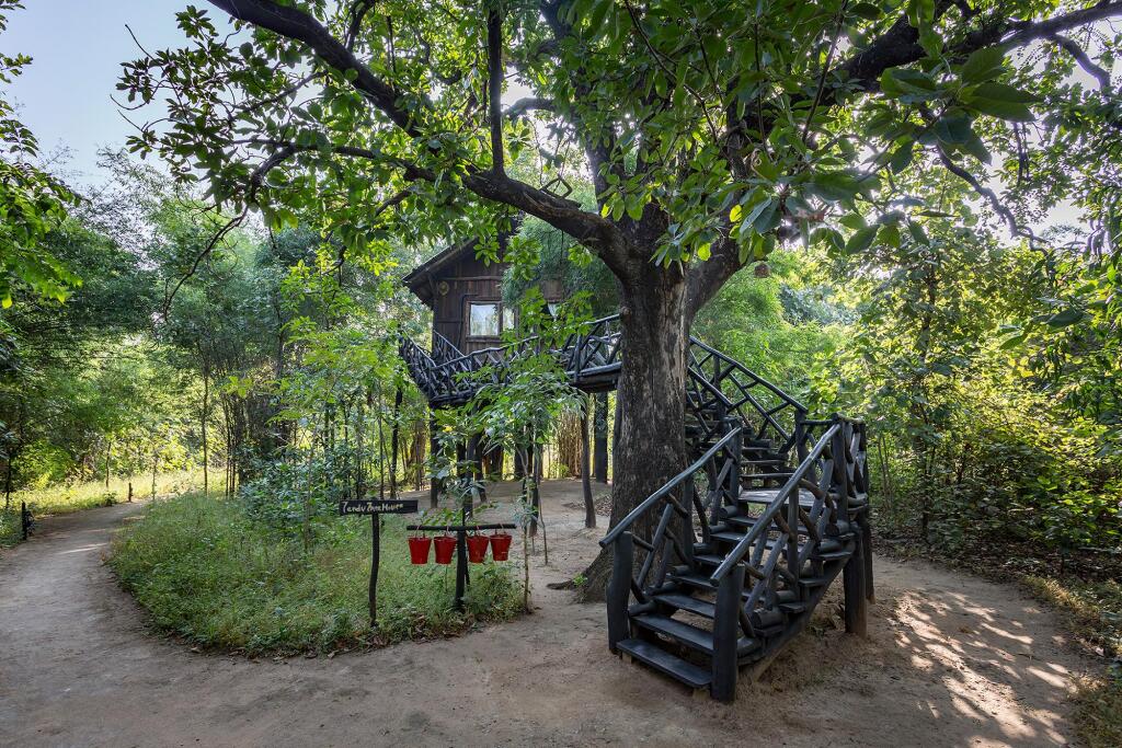 Панпата: Pugdundee Safaris- Tree House Hideaway