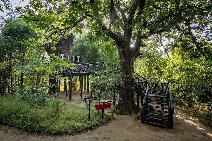 Панпата: Pugdundee Safaris- Tree House Hideaway