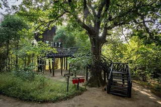 Панпата: Pugdundee Safaris- Tree House Hideaway
