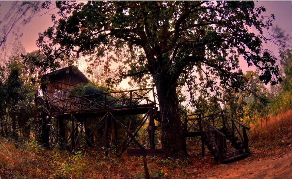 Панпата: Pugdundee Safaris- Tree House Hideaway