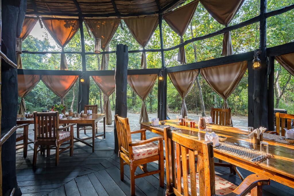 Панпата: Pugdundee Safaris- Tree House Hideaway