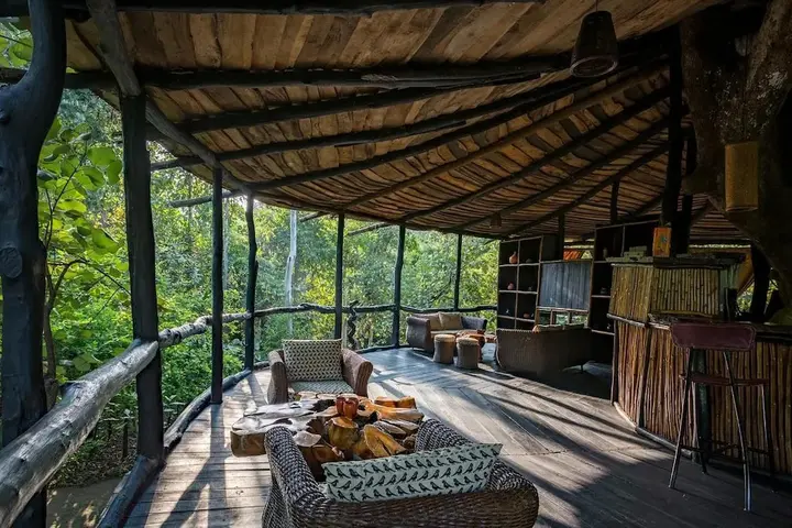 Панпата: Pugdundee Safaris- Tree House Hideaway