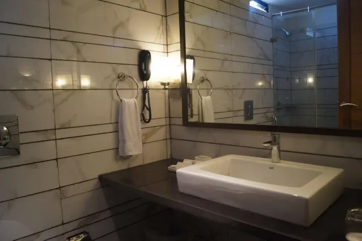 Ахмедабад: The President - A Boutique Hotel