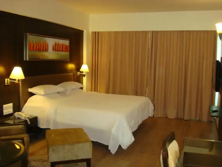 Ахмедабад: The President - A Boutique Hotel
