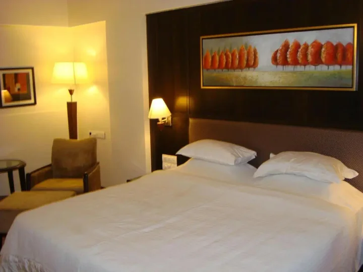 Ахмедабад: The President - A Boutique Hotel