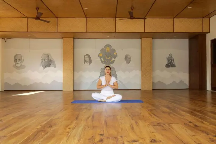 Ришикеш: Comfort Hotel Dewa Retreat