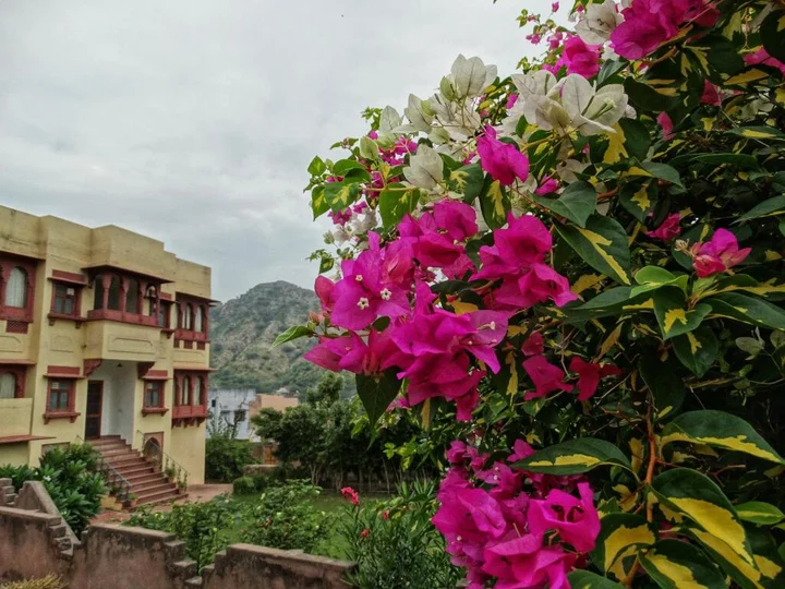 Амбер: V Resorts Adhbbhut Jaipur