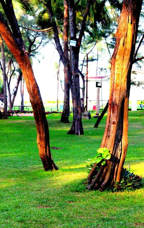 Ченнаи: VGP Golden Beach Resort
