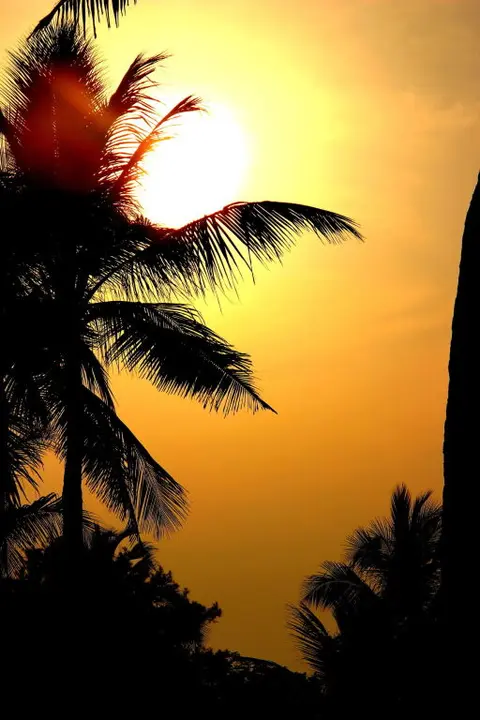 Ченнаи: VGP Golden Beach Resort