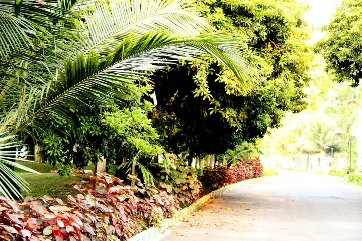 Ченнаи: VGP Golden Beach Resort