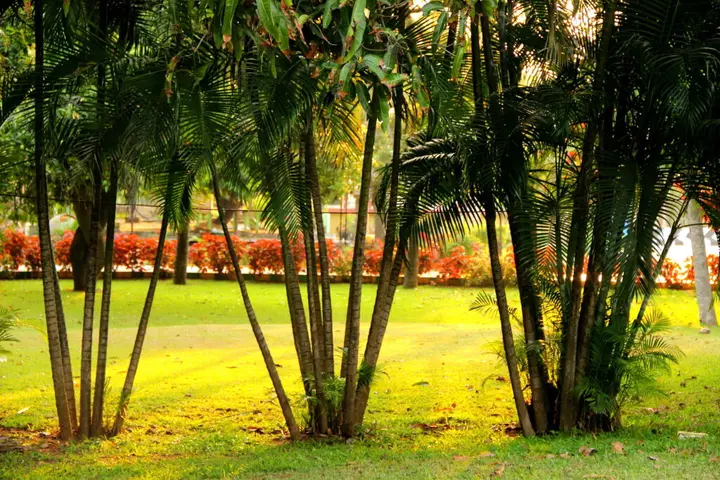 Ченнаи: VGP Golden Beach Resort