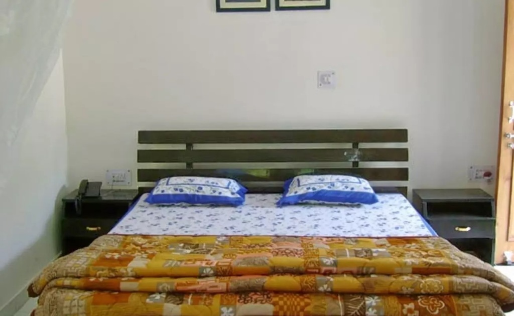 Ришикеш: Hotel Narayana Palace