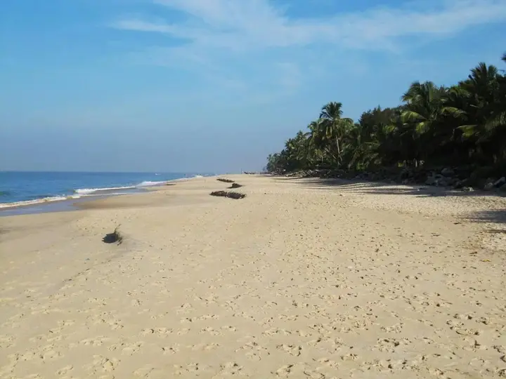 Аллеппи: Vivaresidence Homestay