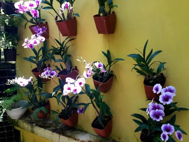 Аллеппи: Vivaresidence Homestay