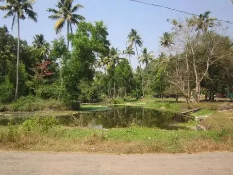 Cherthala: Angels Homestay