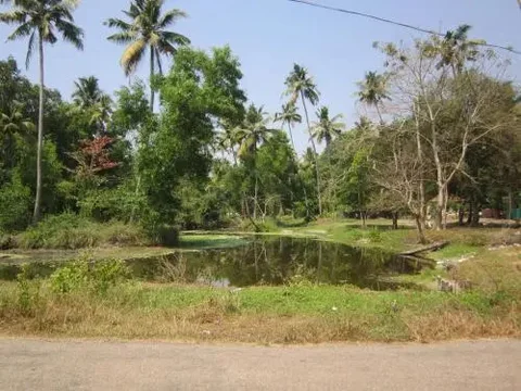 Cherthala: Angels Homestay