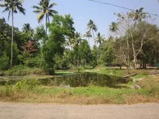 Cherthala: Angels Homestay