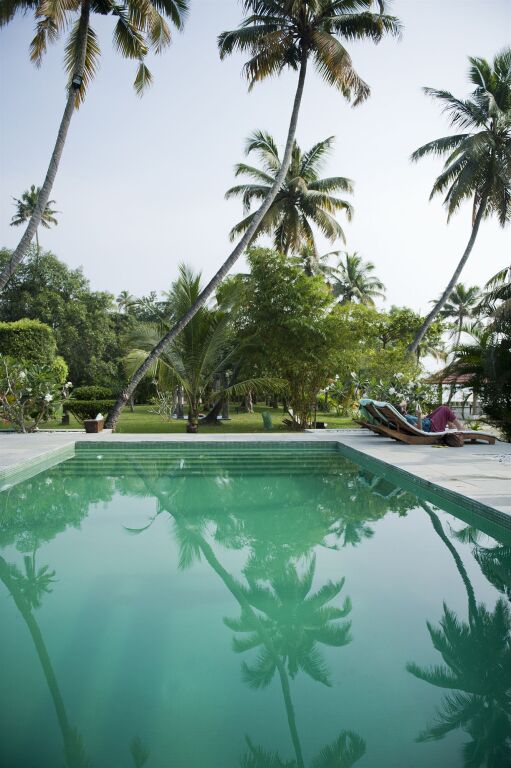 Мухамма: Purity at Lake Vembanad