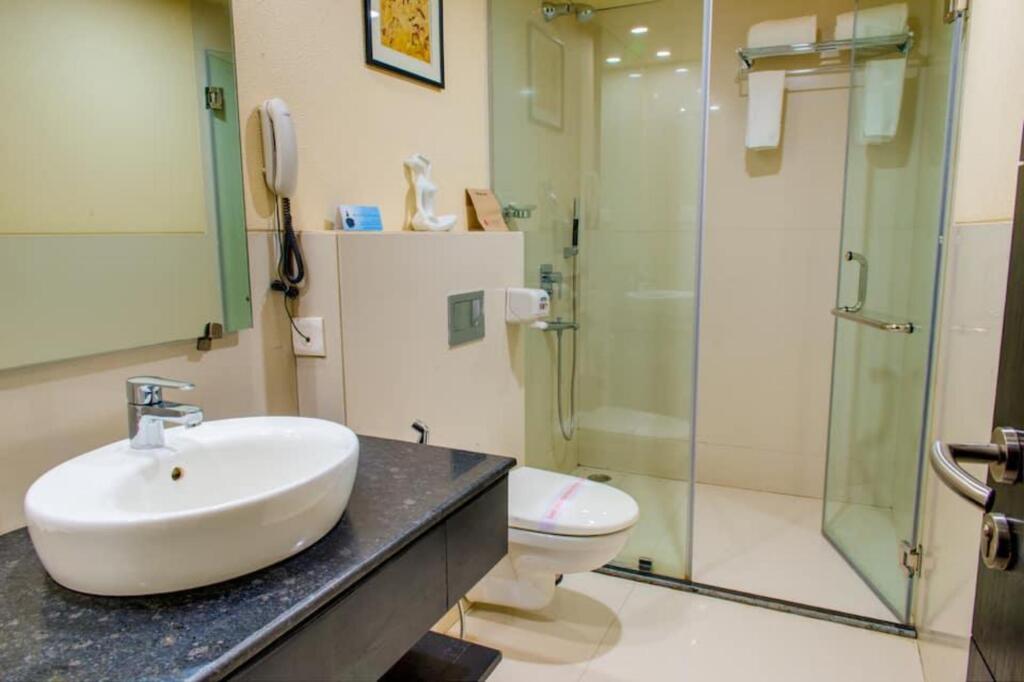 Дханбад: Sonotel Hotel